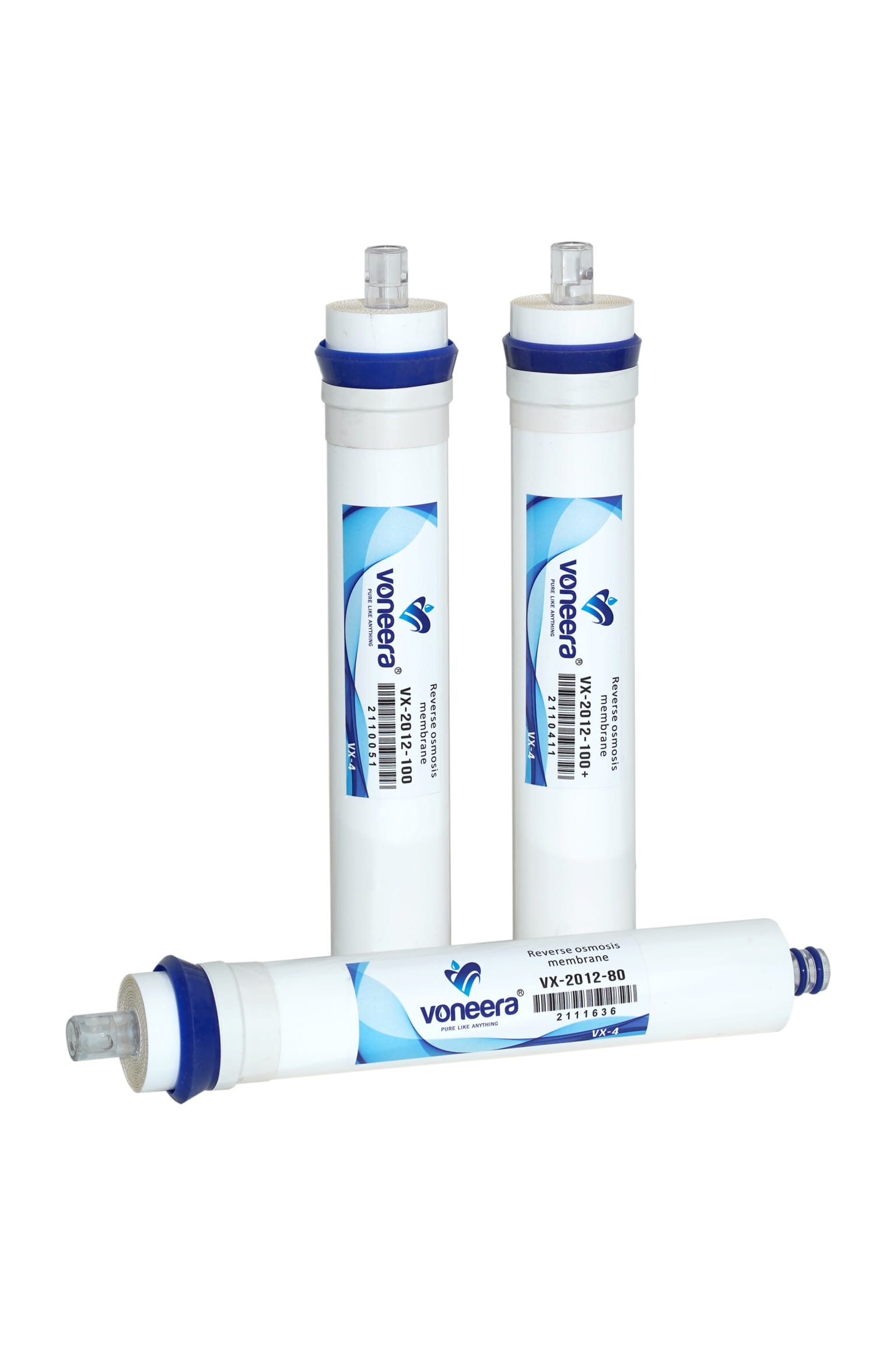 Domestic Membranes (Ovay Sheet)
